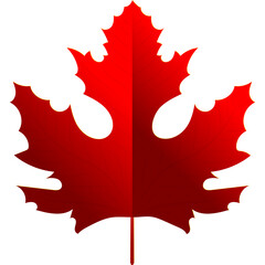 Obraz premium autumn leaves 