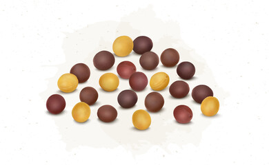 Mustards seed vector illustration isolated on white background