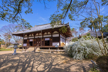 海龍王寺の本堂と雪柳