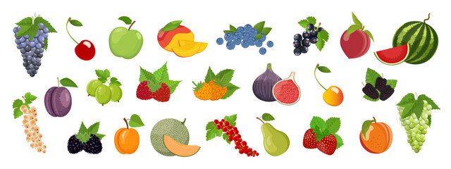 Set of summer fruits and berries, juicy multicolored assortment of delicious vegan products, vector illustration on white background, banner
