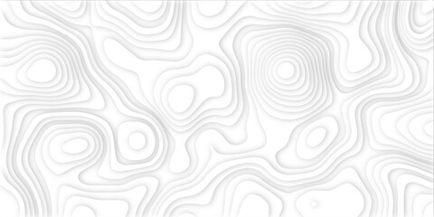 Abstract background vector pattern in illustration . Paper cut vector art background banner texture website template, 3D papercut layers, Abstract paper cut white background in illustration S