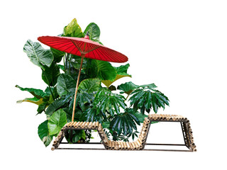 bamboo chair and red umbrella  and green plant isolated on white with path