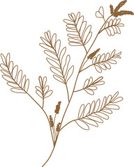 Leaf transparent for decoration.