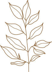 Leaf transparent for decoration.