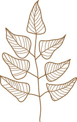 Leaf transparent for decoration.