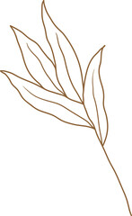 Leaf transparent for decoration.