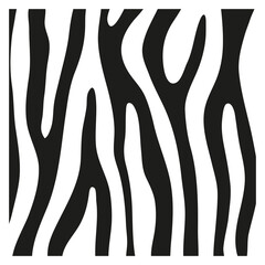 Black stripes on the skin of a zebra for decoration graphics