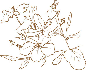 Leaf transparent for decoration.