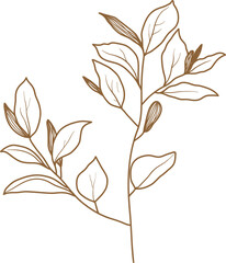 Naklejka premium Leaf transparent for decoration.