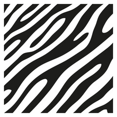 Black stripes on the skin of a zebra for decoration graphics