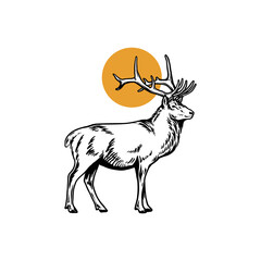 deer hand drawn vector illustration