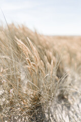 Fototapeta premium Nordseeurlaub