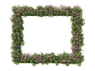Flowers frame on a transparent background
