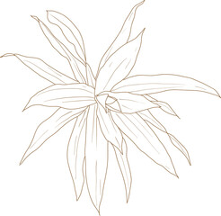 Leaf doodle transparency for decoration.	