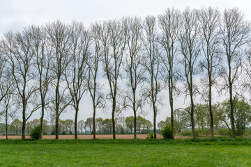 IJssel river landscape outside De Steeg in The Netherlands with trees, canals, and fields