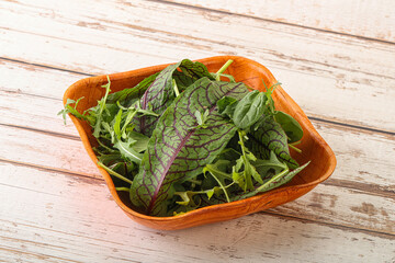 Green mix salad in the bowl