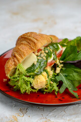 sandwich with cheese and tomatoes with greens and pesto sauce in a red plate macro photo
