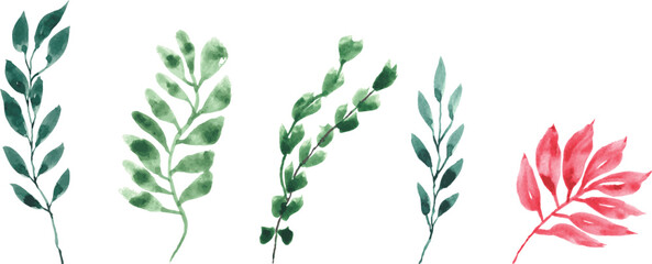 Watercolor floral set of green leaves, branches, twigs etc. Vector traced isolated greenery illustration.