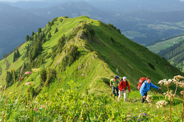 Wandergruppe begeht einen grasigen Grat im Gebirge