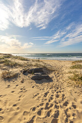 footprints on the beach