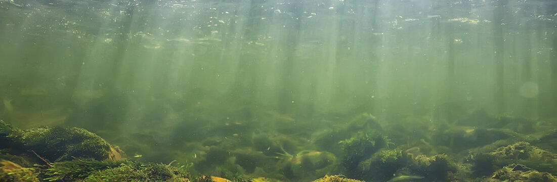sun rays under water landscape, seascape fresh water river diving