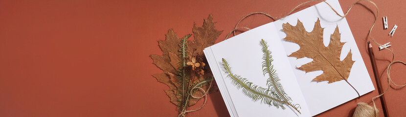 Dried pressed leaf on paper from notebook with pencil , scissors and twine on brown background. hobby, handmade , floral art and boho concept. banner