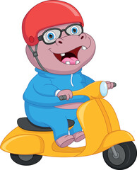 cartoon cute hippo riding scooter 