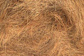 background texture straw yellow nature ornament
