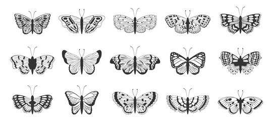 Obraz premium Vintage butterfly. Flying animal flower pattern. Scrapbook wing elements. Decorative insect black silhouettes. Monochrome monarch. Outline exotic moth signs. Vector isolated icons set