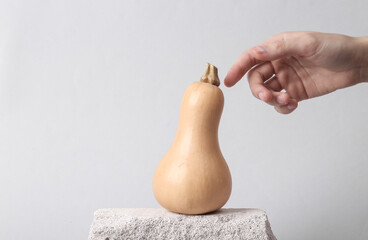 Minimal abstract still life with hand and pumpkin on stone, gray background