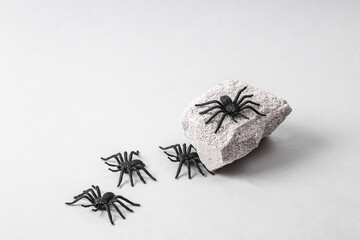 Decorative spiders on stone. Halloween decor