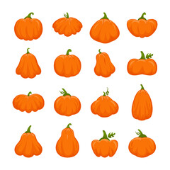 Cute Halloween pumpkins. Fall vegetables. Gourd crop shape silhouettes set. Green food and fruit drawing. Orange holiday plant. Ripe vegetarian ingredient. Vector cartoon illustration