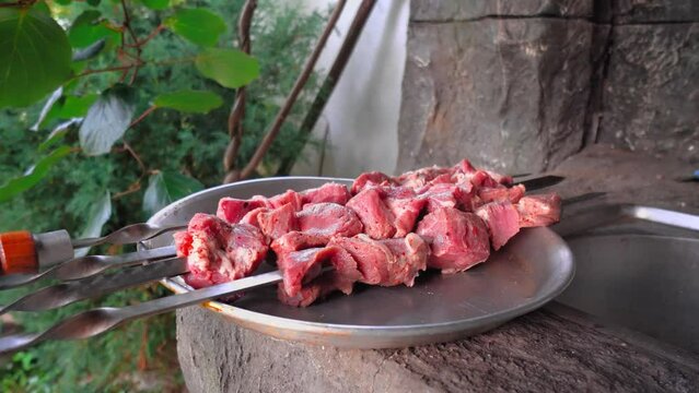 Fresh raw pork or beef meat on skewers on close-up plate. against background of park or garden with green leaves and lawn. Kebab as oriental cuisine. Beautiful meat prepared for frying.