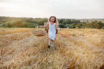 a little curly-haired girl with a basket of daisies walks through a mown field with haystacks