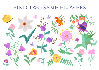 Find two same flowers. Cartoon vector illustration for children education.