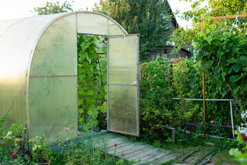 Greenhouse for growing vegetables in a country house