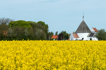 Ny Kirke, Rundkirche, Bornholm, Dänemark - obrazy, fototapety, plakaty