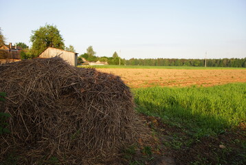Stack of old straw in the village in the backyard against the background of arable land.