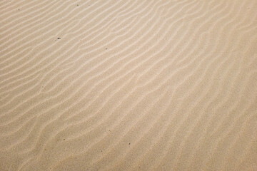 Nice background of sand on the beach