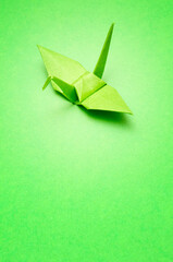 green origami bird on green background