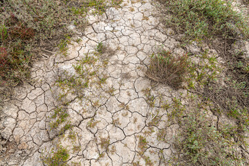 Naklejka premium Dry and cracked land, dry due to lack of rain, in the Loteta reservoir, near the town of Gallur, Spain. Effects of climate change such as desertification and droughts