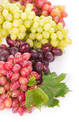 Red and white table grapes, wine grapes.