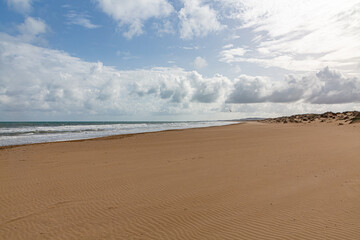 Evening view on small sand dune with green grass. Sandy beach at sea coast. Blue sky with white clouds. Sunset time