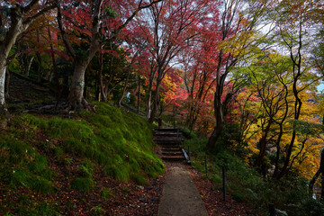 Fototapeta na wymiar Yase-Momiji-No-Komichi（八瀬 もみじの小径）in Autumn