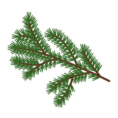 Spruce branch on a white background.Vector illustration can be used in Christmas designs,textiles.postcards.labels.