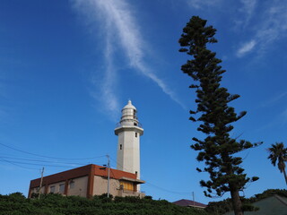 青空の下の野島埼灯台と木々