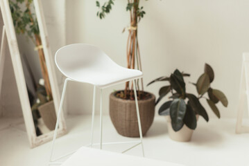 Modern white chair placed next to a mirror and two plants on a white background