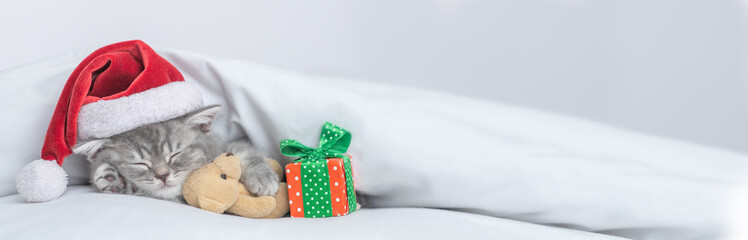 Funny kitten wearing red santa's hat sleeps with gift box under white blanket and hugs favorite toy bear. Empty space for text