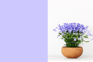Wall interior mockup and violet flowers