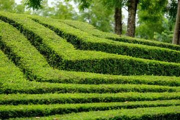 beautiful nature in the daytime, the sky is clear